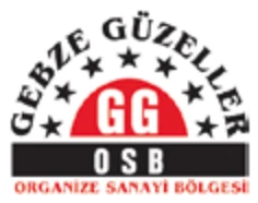 GEBZE GÜZELLER
